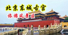 大鸡巴操小骚逼，女人不停叫视频，中国北京-东城古宫旅游风景区