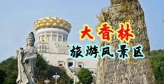 美女的骚逼下载中国浙江-绍兴大香林旅游风景区